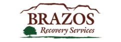 Brazos Recovery Services